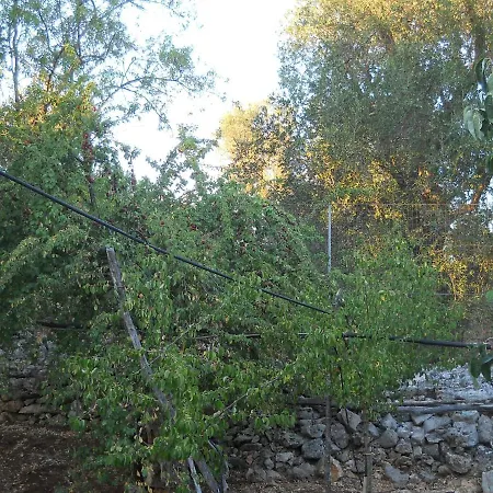 Rifugio Fulieri In Salento * Francavilla Fontana