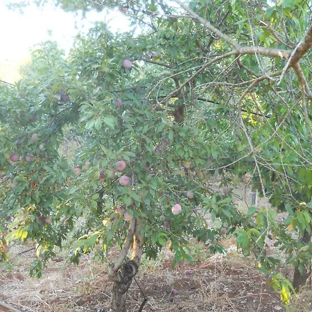 Rifugio Fulieri In Salento Apartamento *
