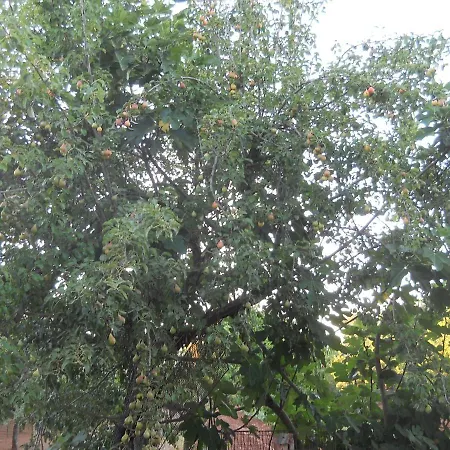 Apartamento Rifugio Fulieri In Salento