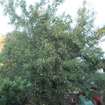 Rifugio Fulieri In Salento *