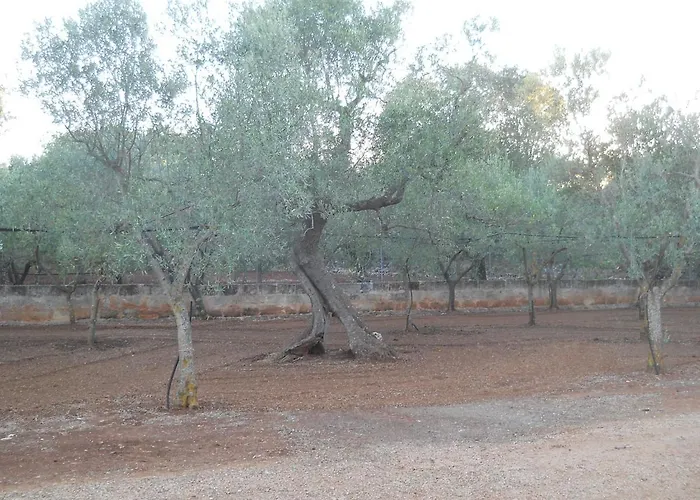 Daire Rifugio Fulieri In Salento Francavilla Fontana